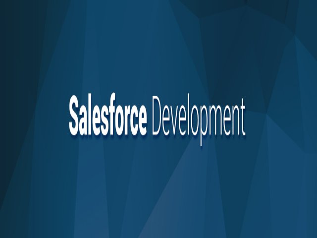 Salesforce Development Company In Delhi-NCR – Tech