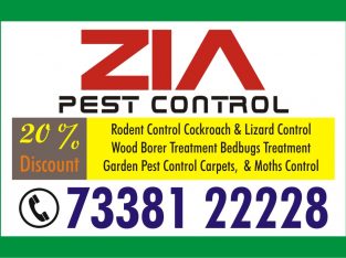 Pest Control Blr | Pest services | 1571 | Sanitiza
