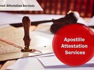 Best Apostille Services in Noida and Apostille At
