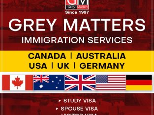The best immigration in Chandigarh study visa Grey