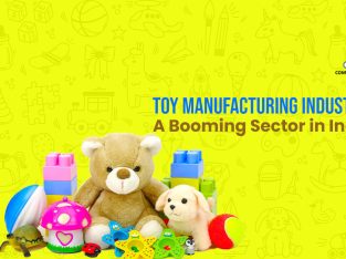 The Rise of Toy Manufacturing Industry in India