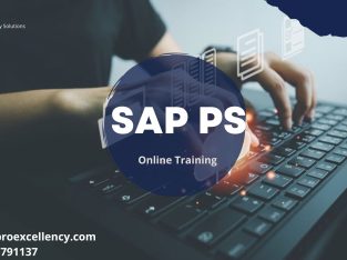 SAP PS Online Training By Pro excellency