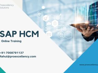 SAP HCM Online Training by Pro excellency