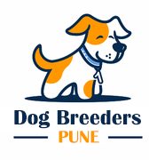 Beagle Puppies price in Pune