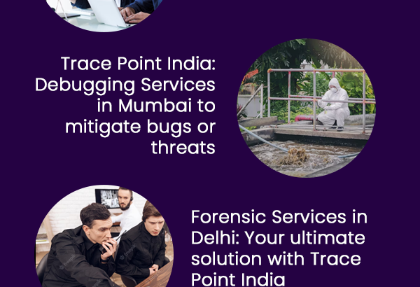 Cyber and Forensics Investigations