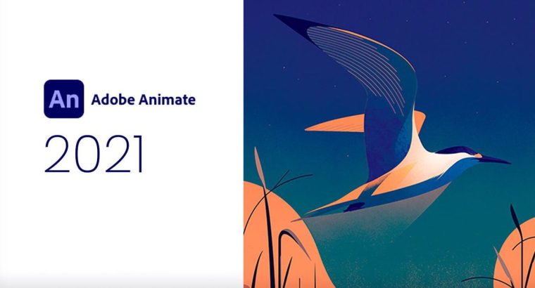 Adobe Animate CC 2021 Free Download For Windows