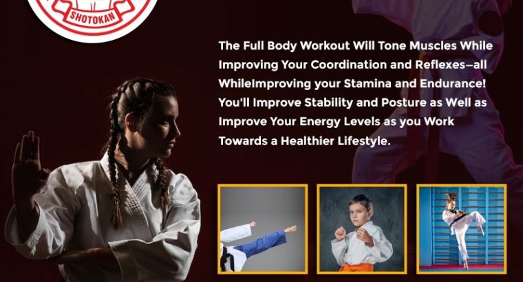 Nochikan Karate International