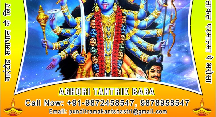 Indian Vashikaran Specialist