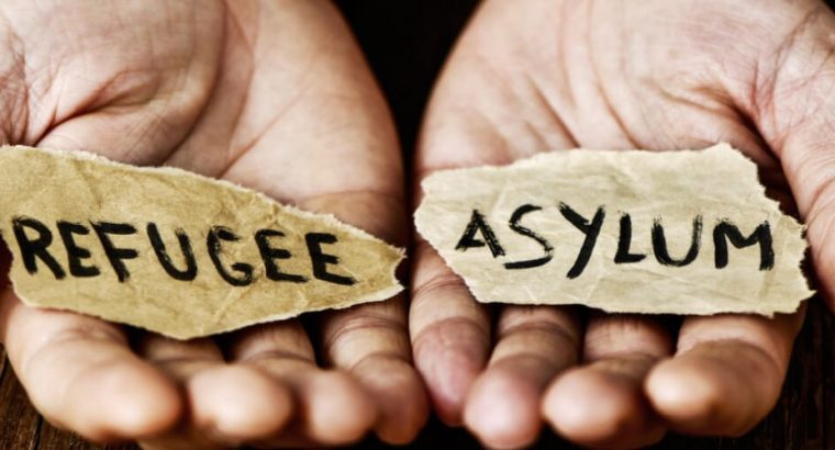 Navigate Your Immigration Journey with The Truste