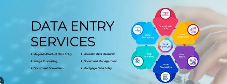 Remote Data Entry Services for USA Companies