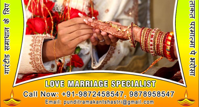 Indian Vashikaran Specialist