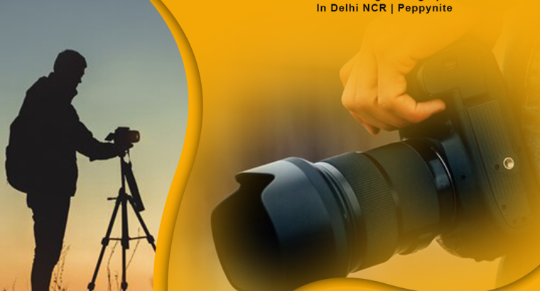 Discover Professional Wedding Photographers