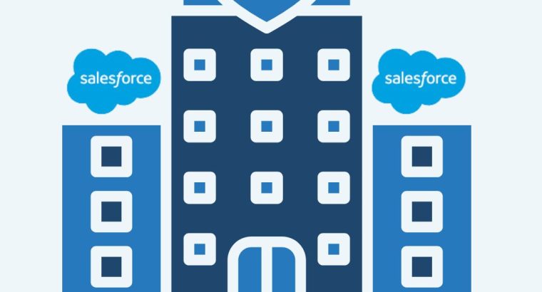 The Impact of Salesforce Implementation on Business Growth