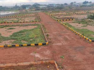 Would you prefer a plot in a city hub or an emerging town?