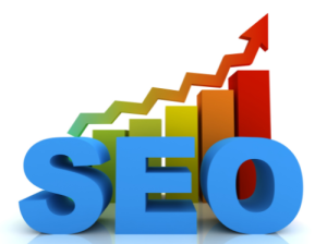 SEO Service in Rohtak +91 8950507126